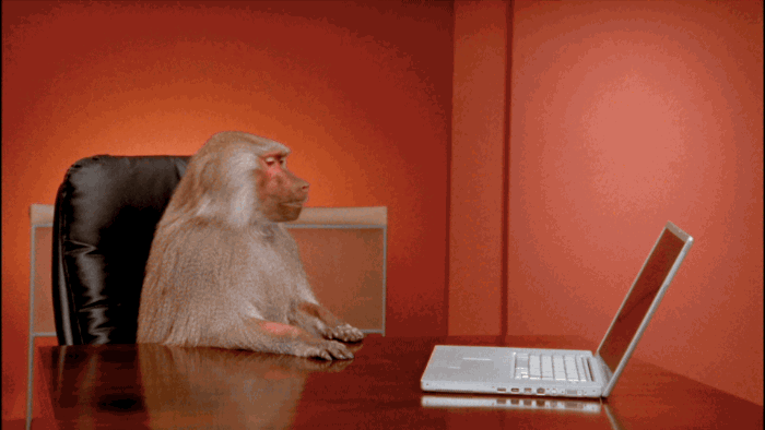 Gif of monkey pushing down a laptop
